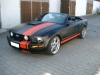 mustang-streifen1