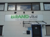 brand-vital